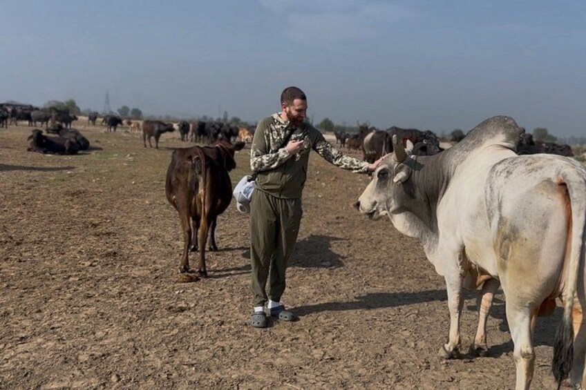 2-Days Authentic Indian Village Experience from Delhi 2