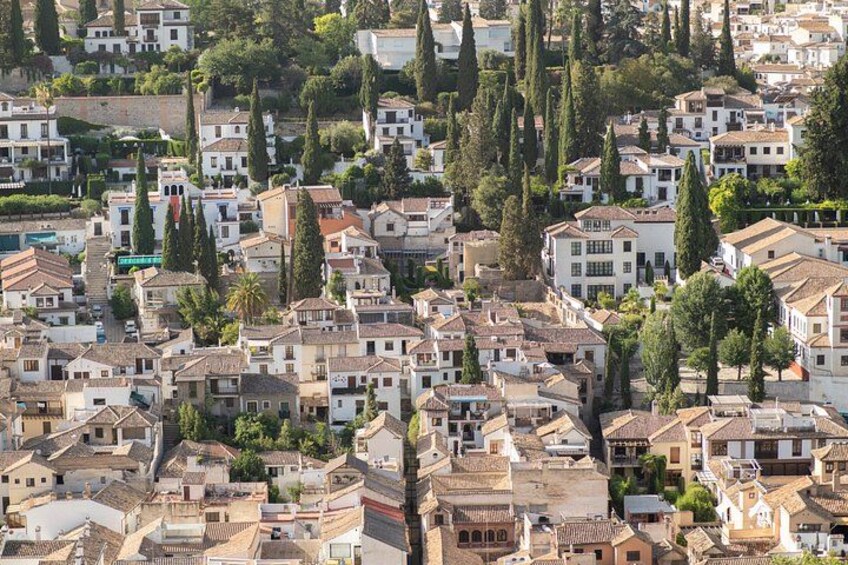 The Alhambra private tour with tickets to the Nasrid Palaces 3