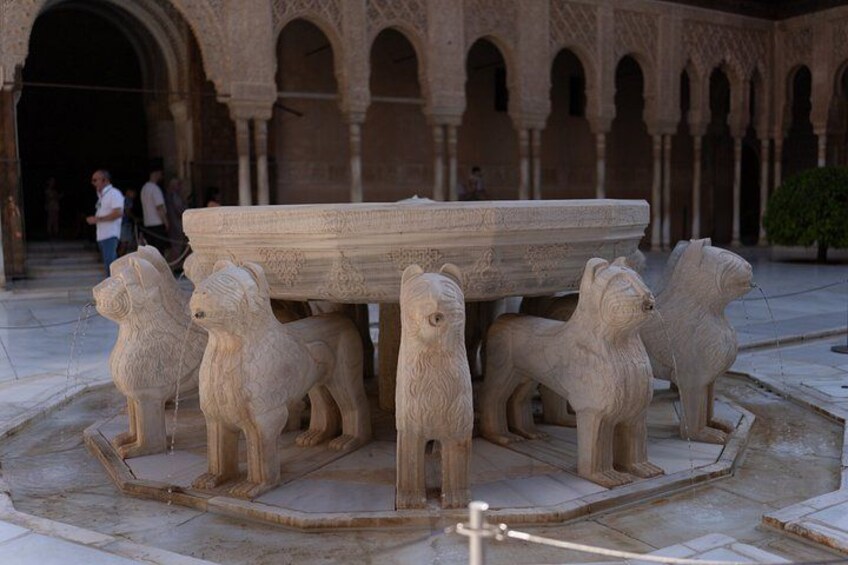 The Alhambra private tour with tickets to the Nasrid Palaces 2