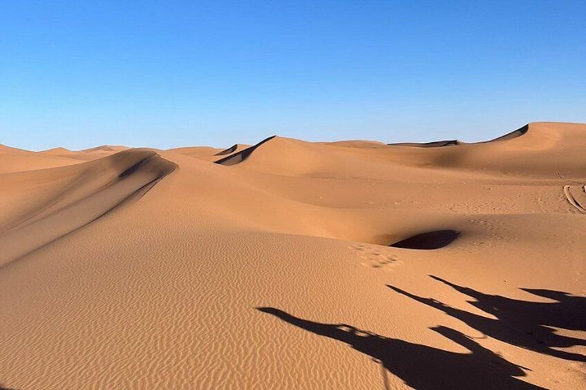 A desert landscape with sand dunes and shadows. 2