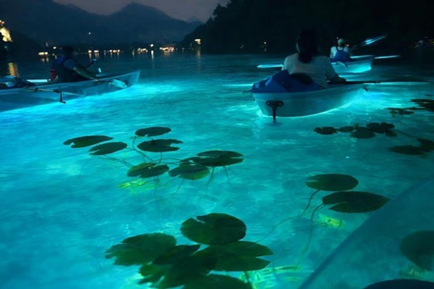 A nighttime scene with illuminated water bodies and boats. 1