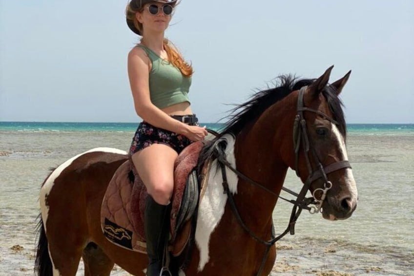 Una persona montando a caballo en la playa, con el océano al fondo. 3