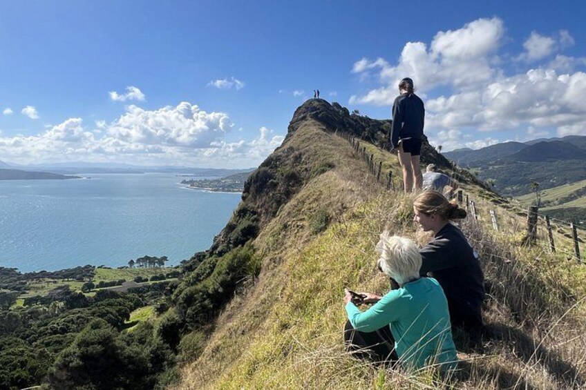 A coastal landscape with a grassy hill, a person standing at the top, and a body of water in the distance. 2