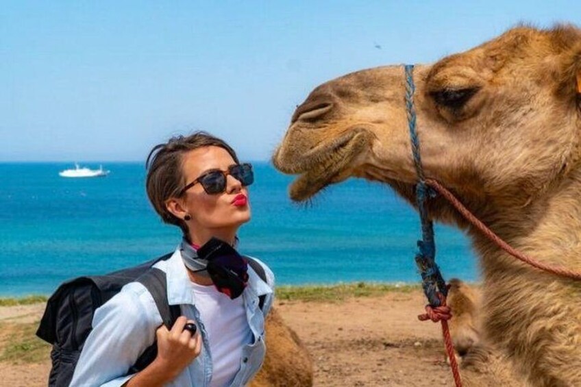 Best of Tangier in 4 Hours – Private Guided Tour 4