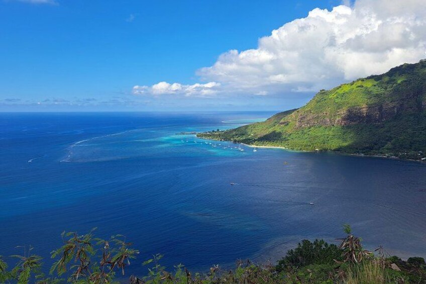 Moorea: Private hike to the Magic Mountain & VIP tasting 4