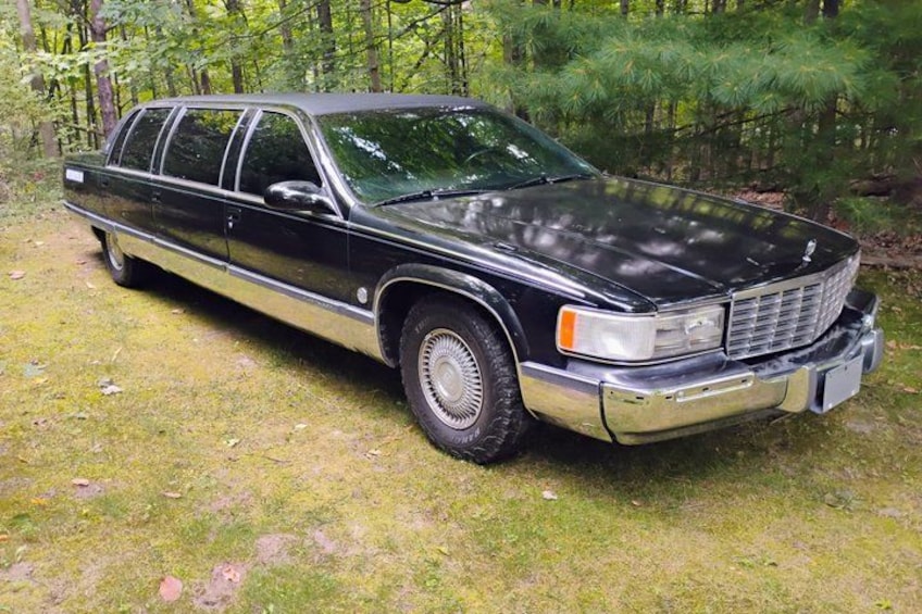 NON-BUS Cadillac Fleetwood Limousine Traverse City Wine Tour 4