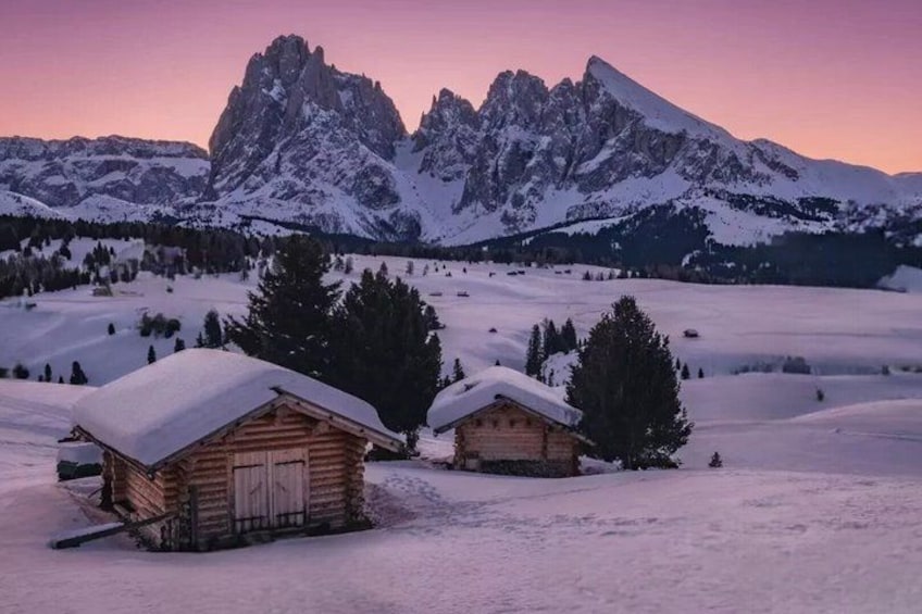 From Bolzano Alpe di Siusi or Mount Seceda and Funes Day tour 3