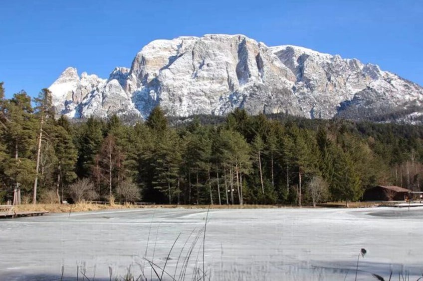 From Bolzano Alpe di Siusi or Mount Seceda and Funes Day tour 2