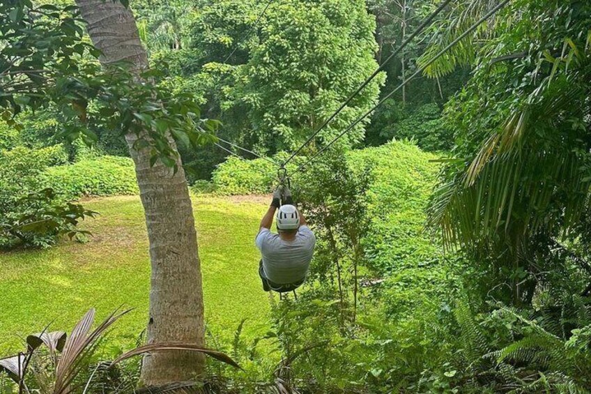 A person zip-lining through a lush, green forest. 2