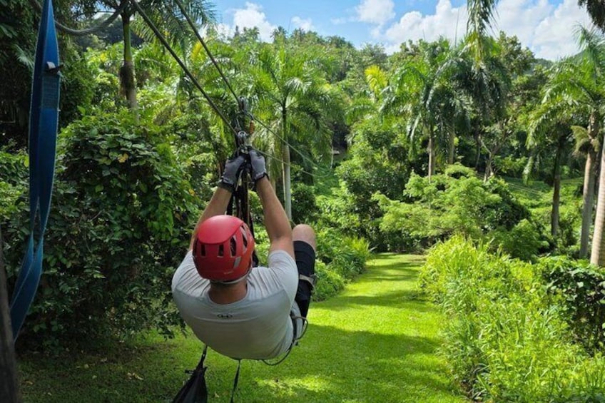 A person zip-lining through a lush, green forest. 4