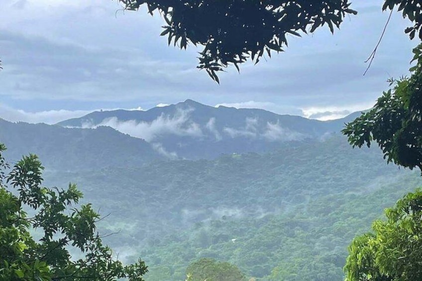 A mountainous landscape with dense forest and mist-covered peaks. 3