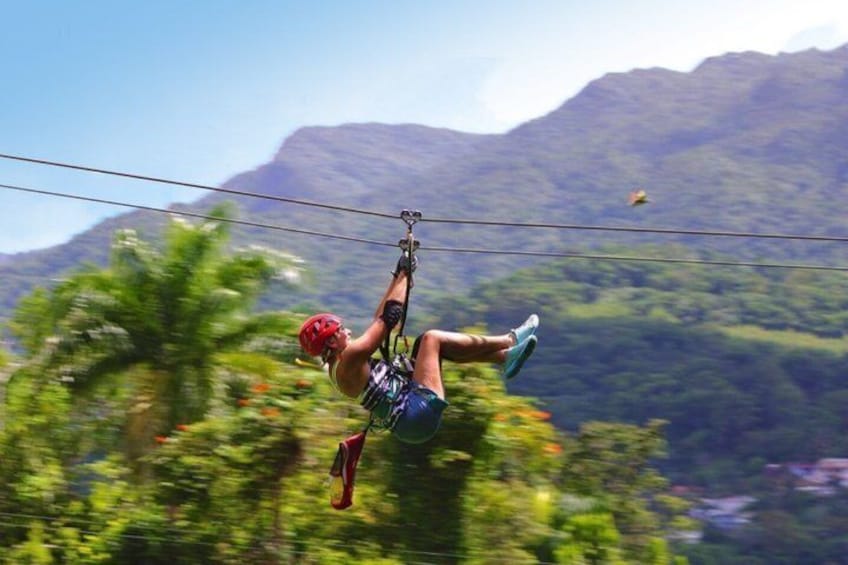 A person ziplining through a forested area with mountains in the background. 1