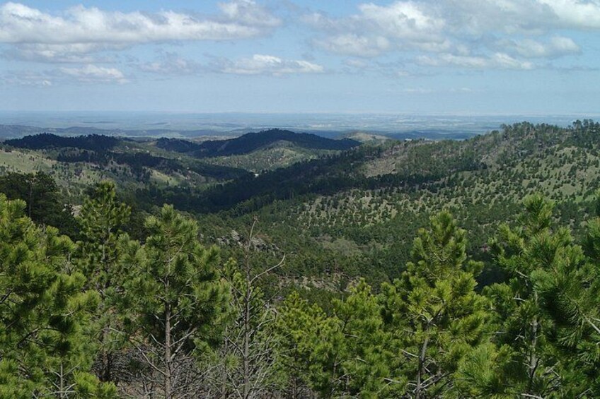 Paesaggio montuoso con fitte foreste e cielo sereno. 4