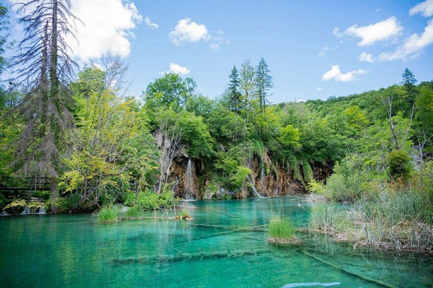 A clear turquoise river surrounded by dense forest and rocky cliffs. 1