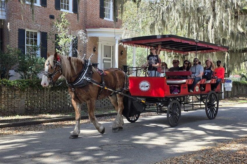 Beaufort Horse Drawn History Tour 1