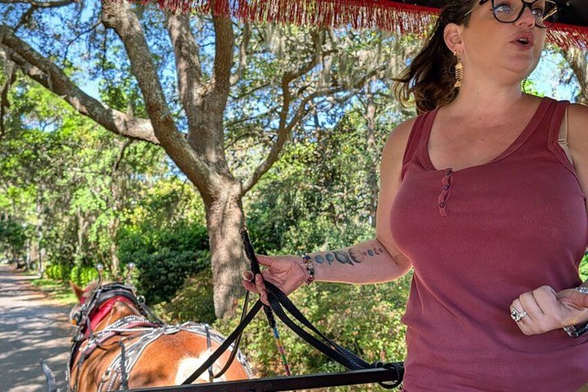Beaufort Horse Drawn History Tour 2