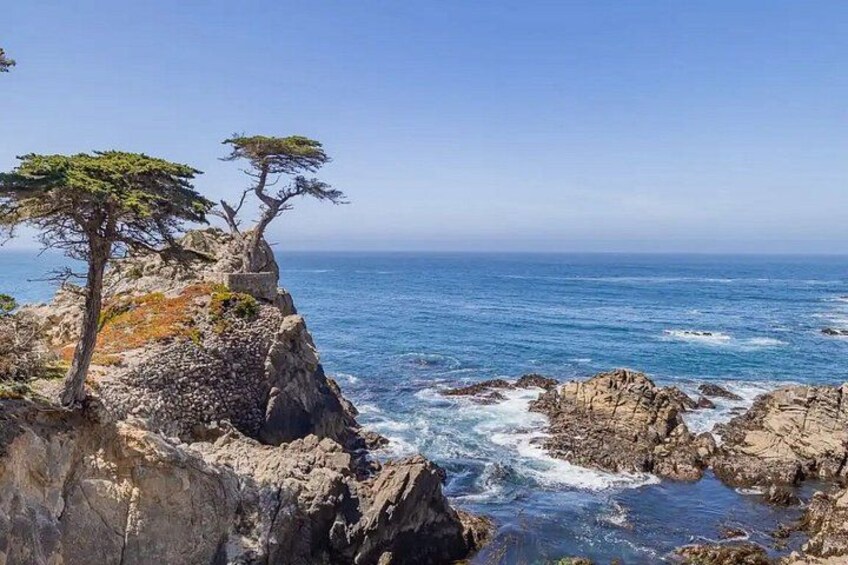 A rocky coastline with a prominent tree on a cliff edge and the ocean in the background. 2