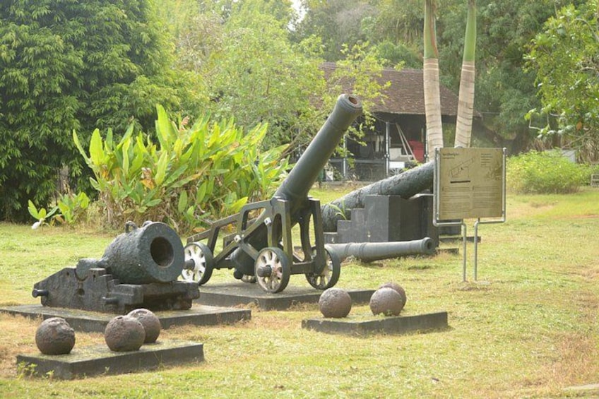 A cannon on display in a grassy area with a sign, surrounded by trees and a building in the background. 5