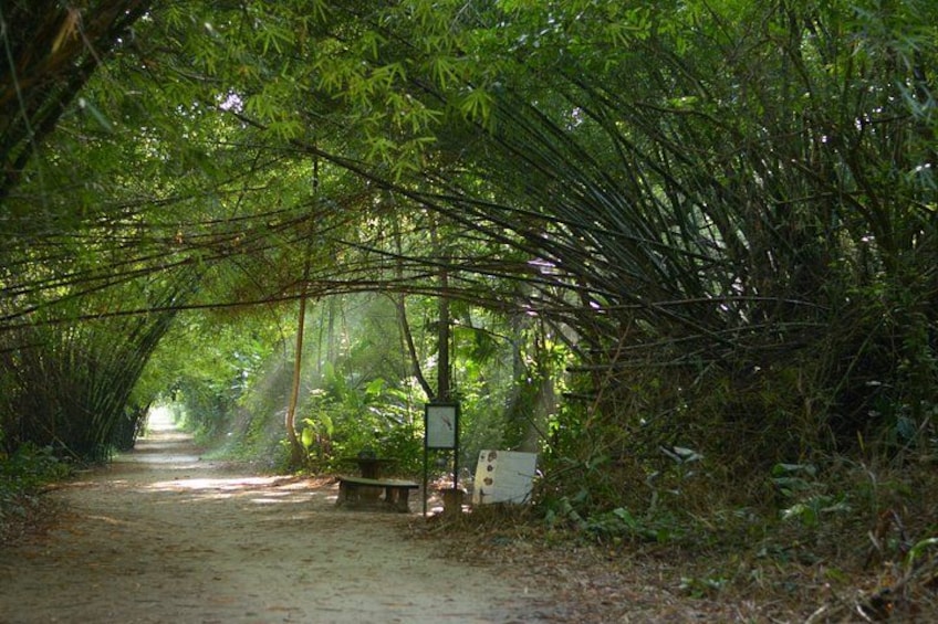 Commewijne Plantation Tour 1
