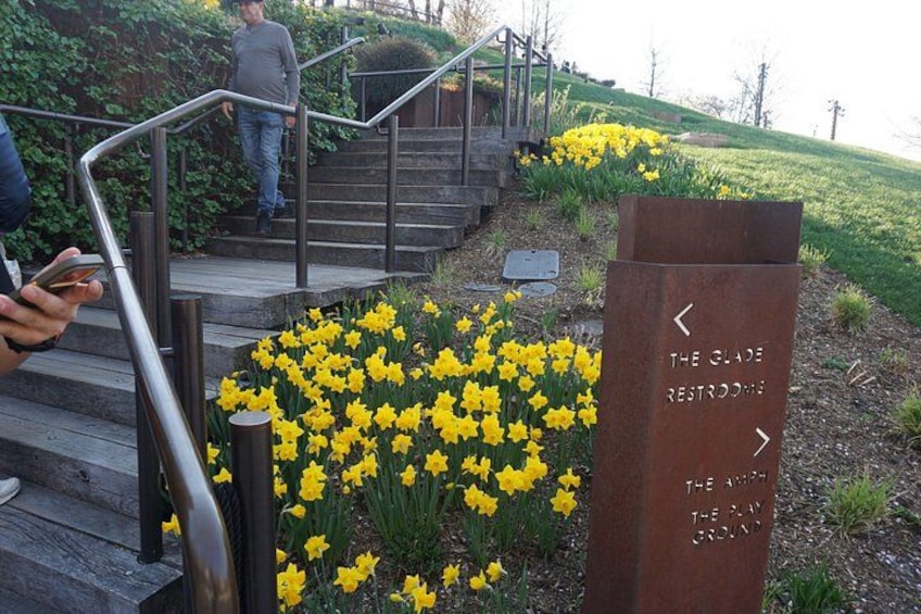 A staircase with yellow flowers, a metal railing, and directional signs. 2