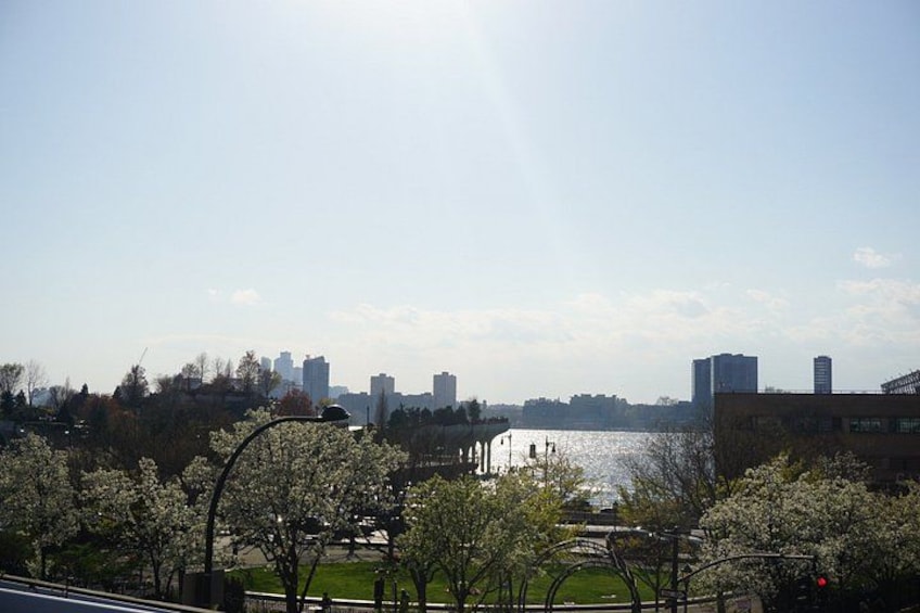 A park with blooming trees, a river, and buildings in the background. 5