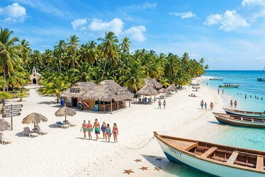 Une plage bordée de palmiers, une hutte au toit de chaume, un bateau et des personnes sur le sable. 1