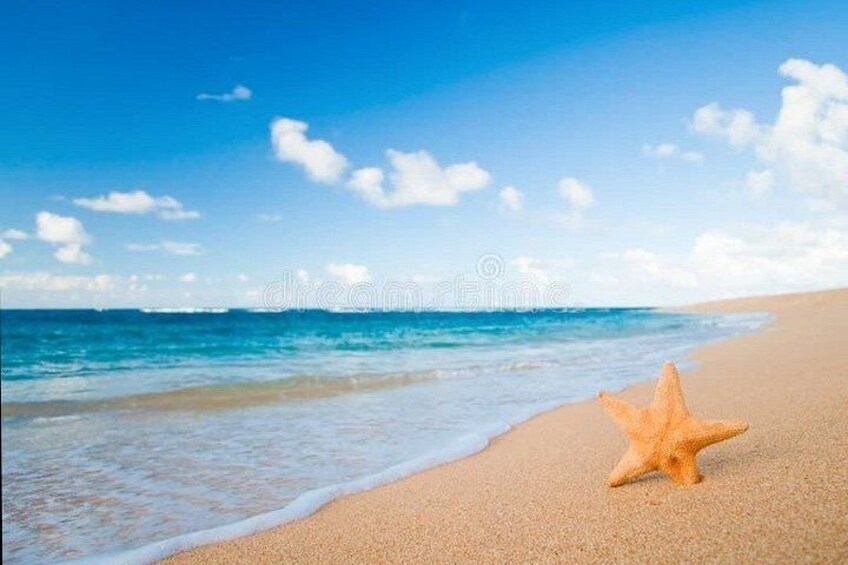 A sandy beach with gentle waves and a clear blue sky. 1