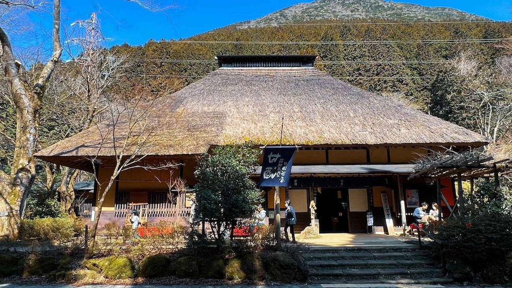 Picture 2 for Activity Full-Day Hakone Tour, With Mt. Fuji View & Sky Walk 2