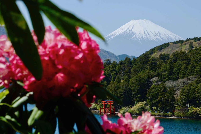 Full-Day Hakone Tour, With Mt. Fuji View & Sky Walk 1