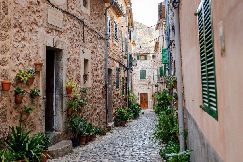 A narrow cobblestone street flanked by buildings with green shutters and potted plants. 4