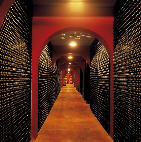 A corridor lined with rows of wine bottles, leading to a vaulted ceiling with lights. 3