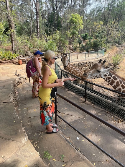 A person feeding a giraffe at a zoo enclosure. 1