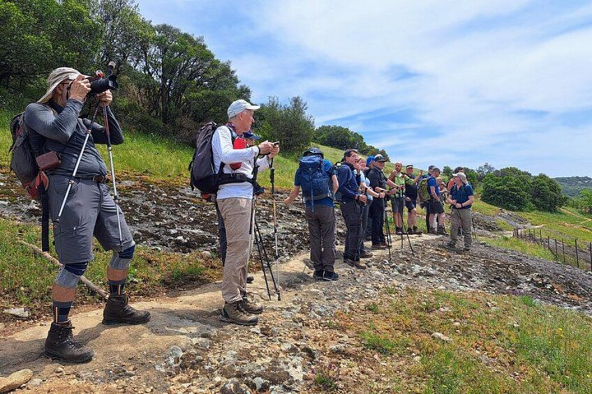 A group of hikers on a trail with rocky terrain and greenery. 5