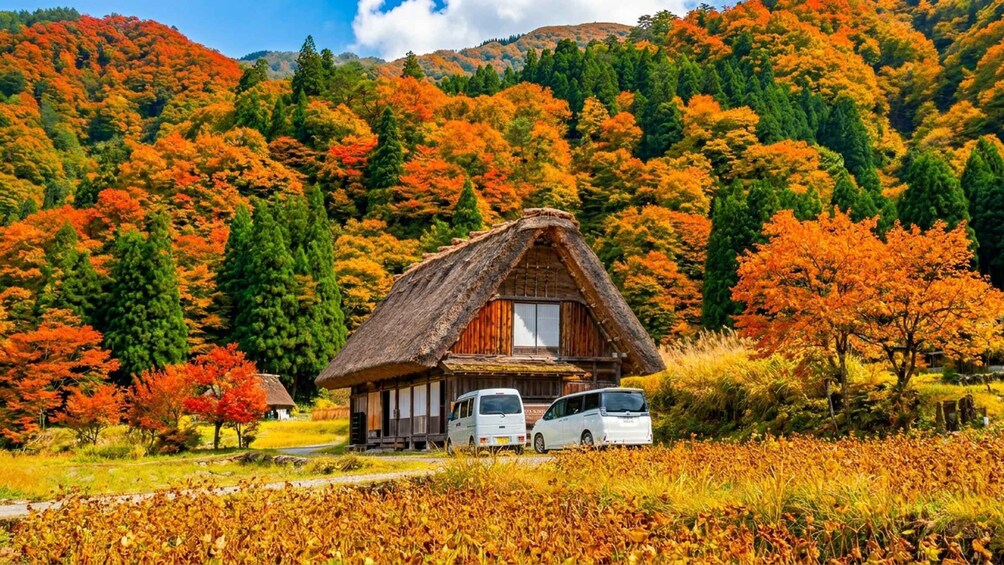 A traditional thatched-roof house with two parked cars in a field with autumn-colored trees. 3