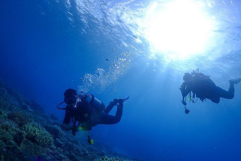 Okinawa Dive & Dine Adventure for Certified Divers (2-Day Tour) 5