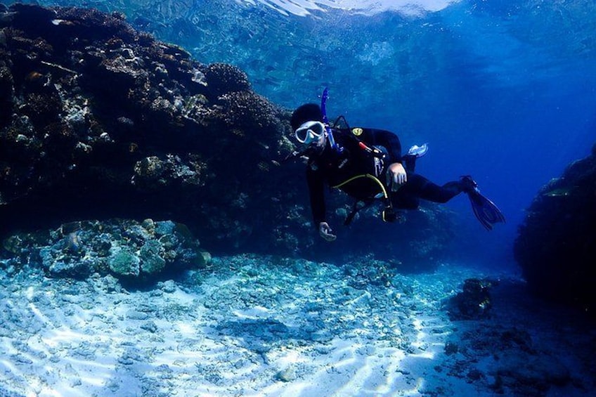 Okinawa Dive & Dine Adventure for Certified Divers (2-Day Tour) 3