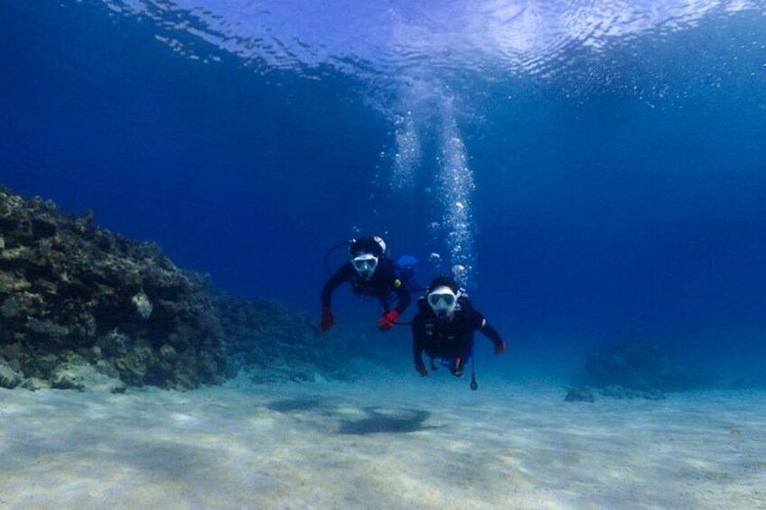 Okinawa Dive & Dine Adventure for Certified Divers (2-Day Tour) 1