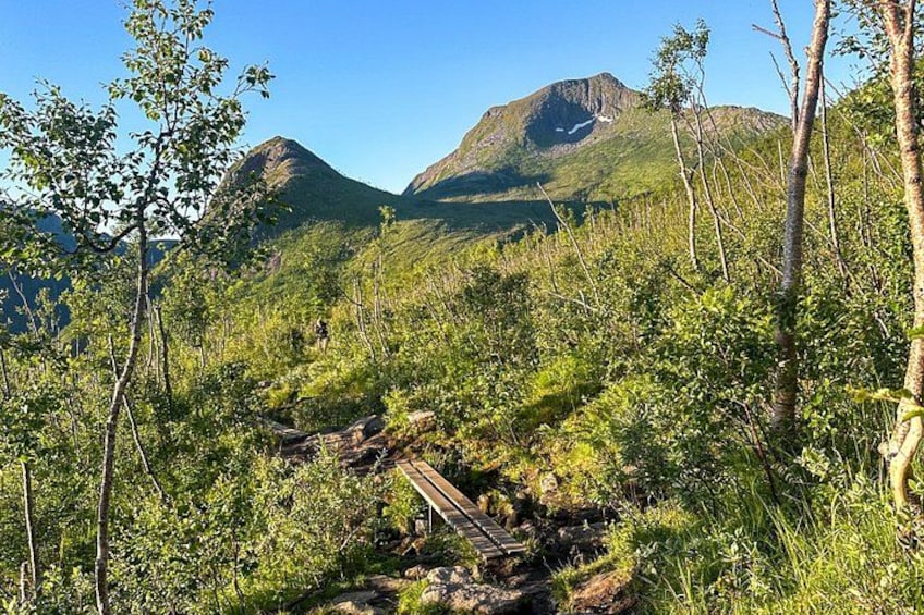 Un paysage montagneux avec un pont en bois, une végétation luxuriante et un ciel dégagé. 4