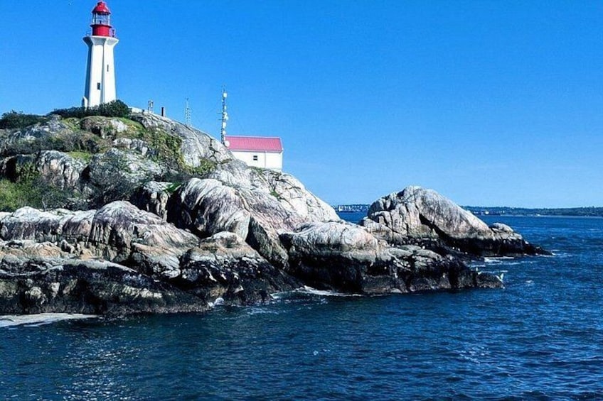 Un phare perché sur un promontoire rocheux, un ciel bleu dégagé et une mer calme. 1