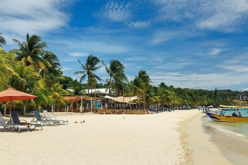 A beach with palm trees, lounge chairs, and a boat. 3