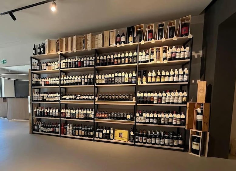 A wine cellar with shelves stocked with various bottles of wine. 2