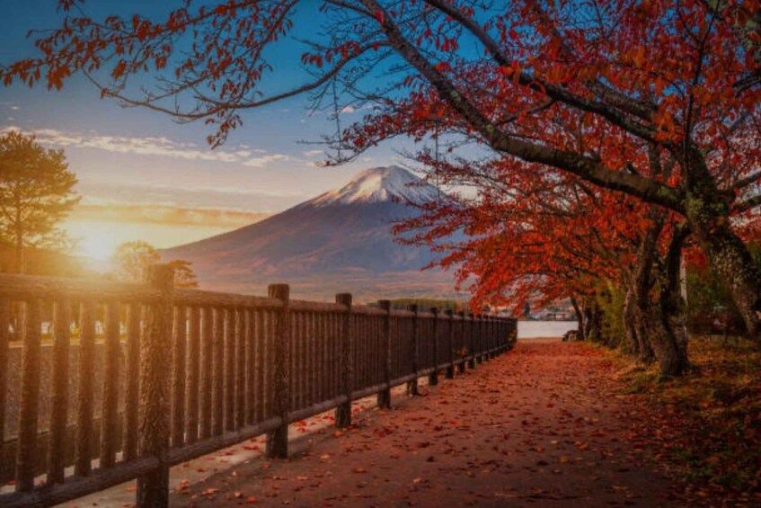 A pathway with a wooden fence, red autumn leaves, and a mountain in the background. 2