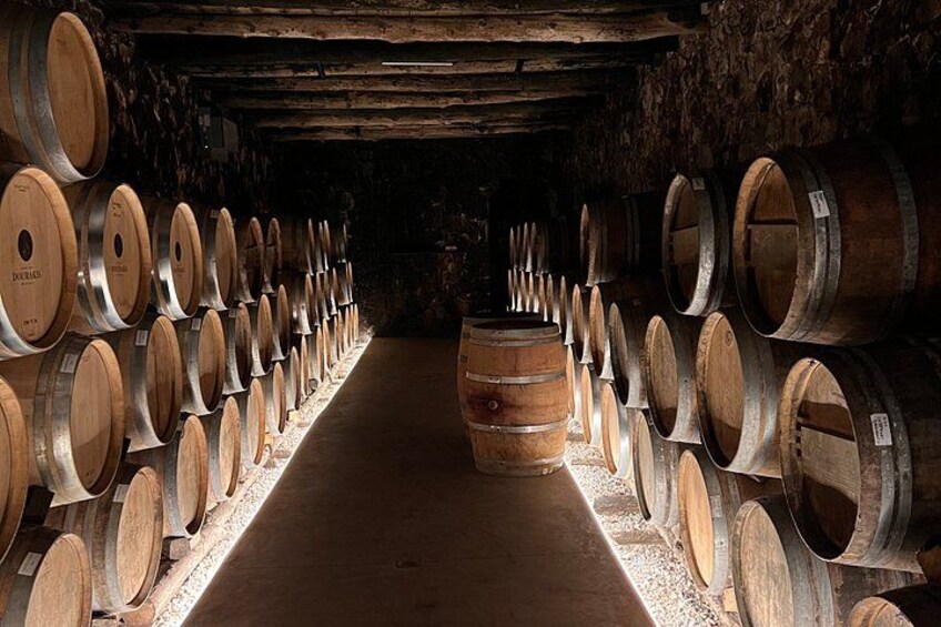 Una cantina con file ordinate di botti di legno. 3
