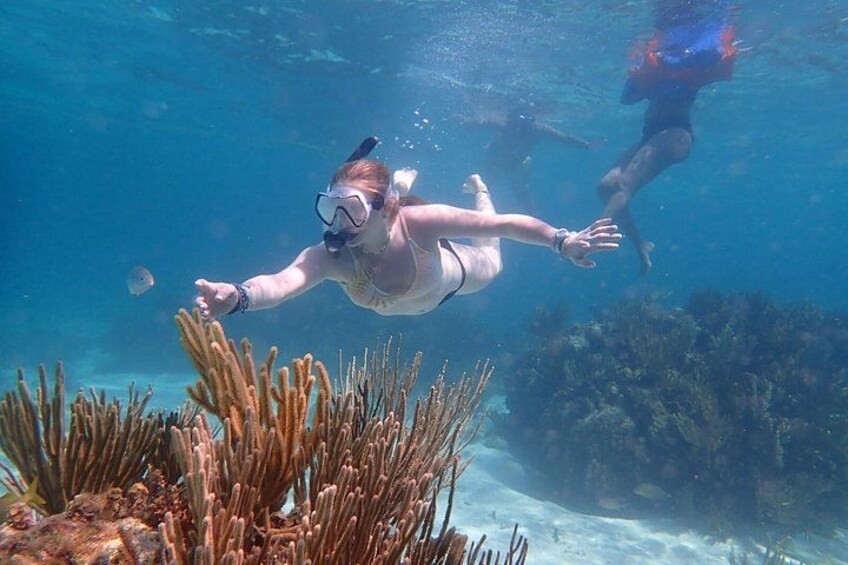 Grand Cayman Private Reef Snorkeling Charter 1