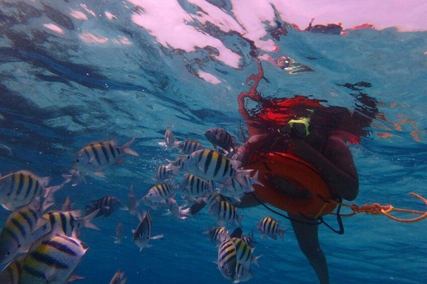 Grand Cayman Private Reef Snorkeling Charter 3