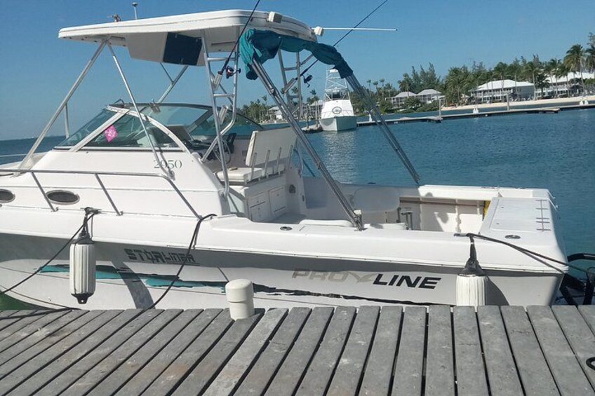 Grand Cayman Private Reef Snorkeling Charter 5