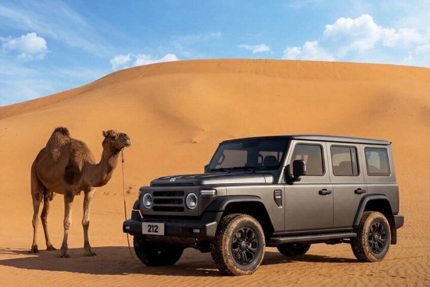 A desert landscape with a dune and a vehicle marked '212' and a camel. 1