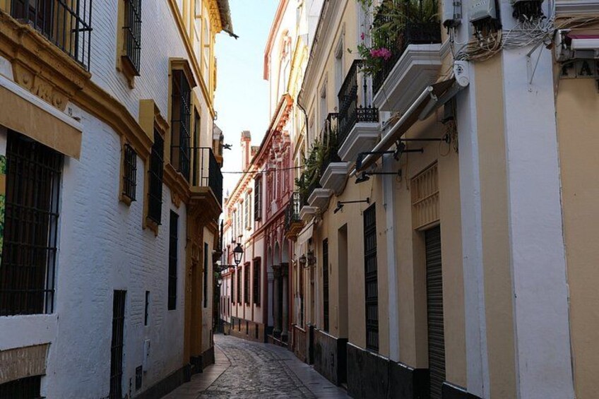 Seville Old Town Highlights Private Guided Walking Tour 2
