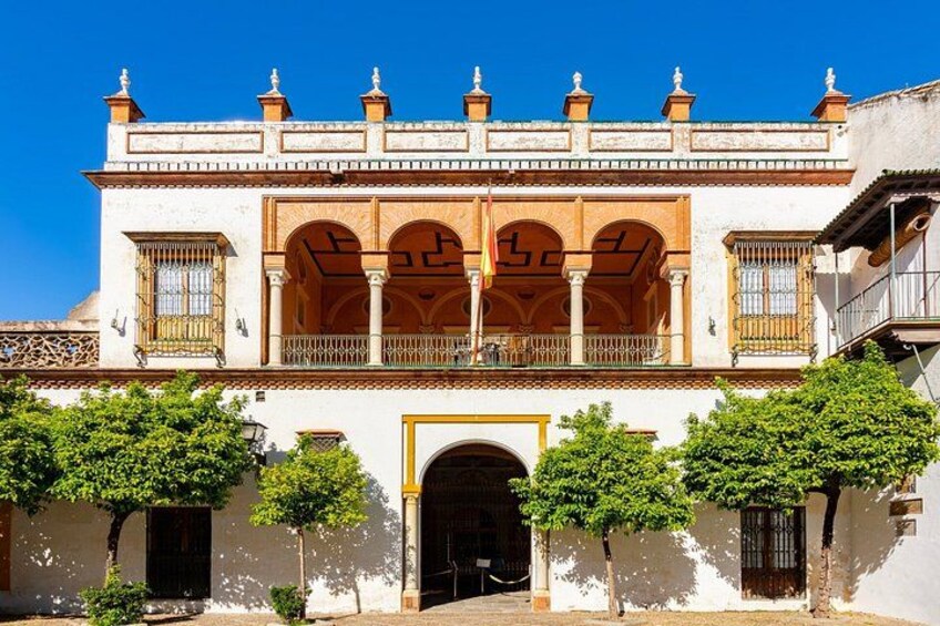 Seville Old Town Highlights Private Guided Walking Tour 3