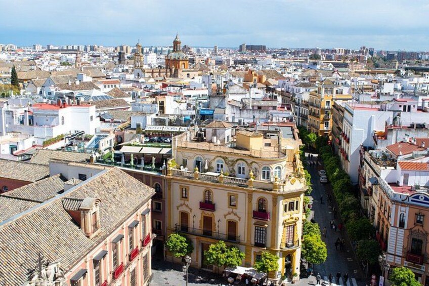 Seville Old Town Highlights Private Guided Walking Tour 5
